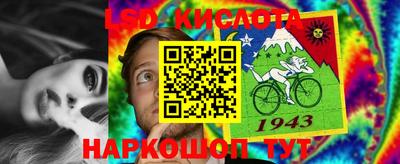 молекула духа Кулебаки