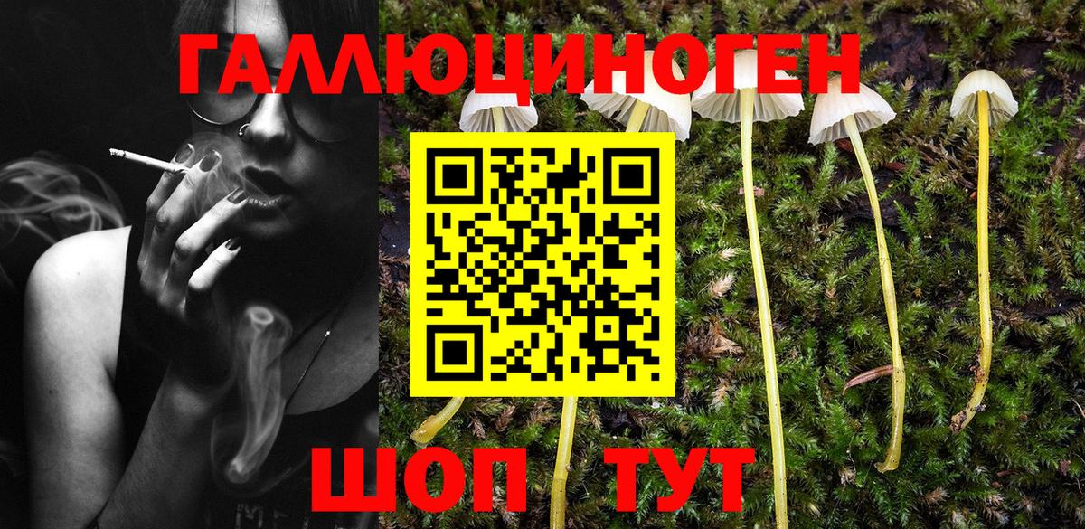 сколько стоит  Псилоцибиновые грибы Magic Shrooms  Сокол  Вход с VPN  Псилоцибиновые грибы Cubensis 