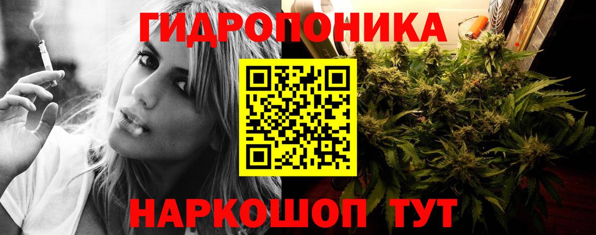 Бошки марихуана White Widow  Вход с VPN  Сокол  Конопля ГИДРОПОН 